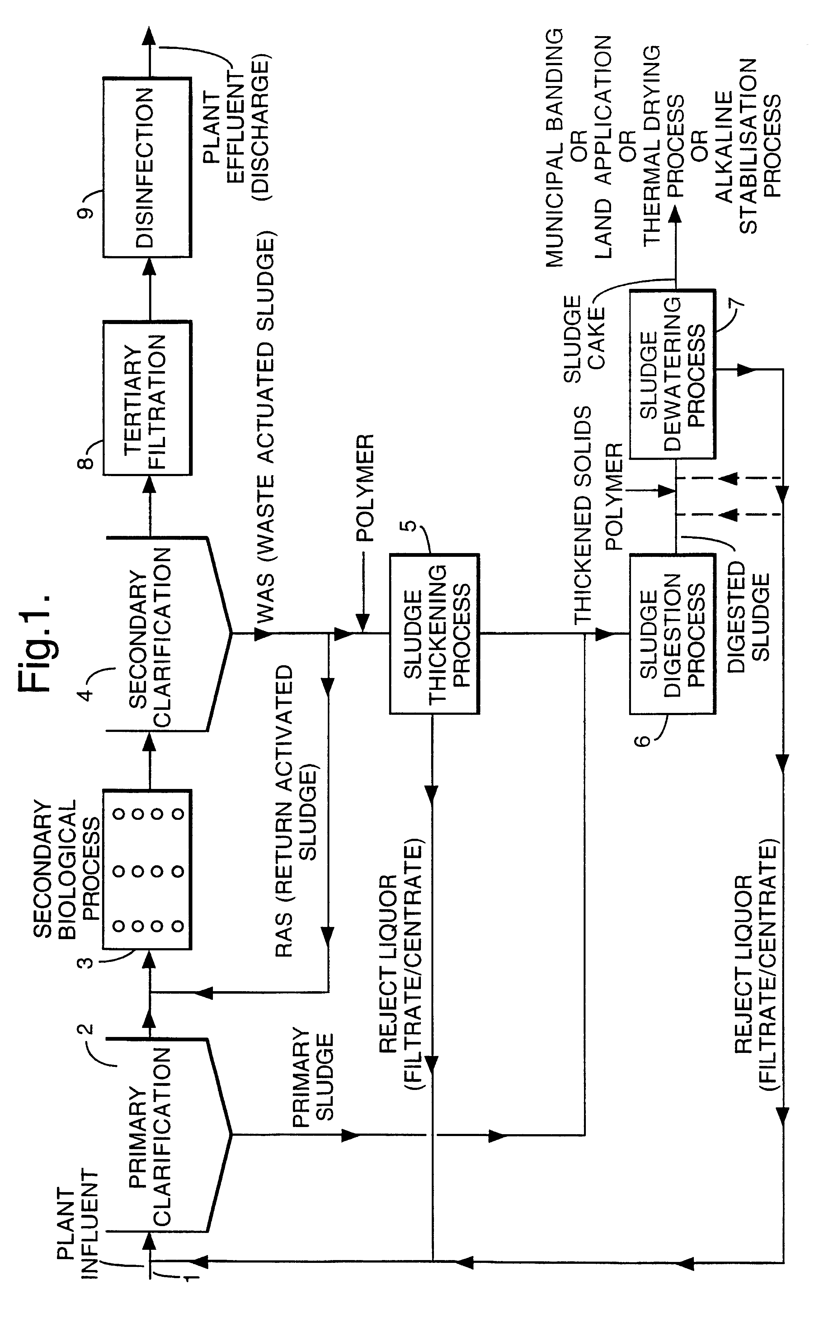 Dewatering of sewage sludge