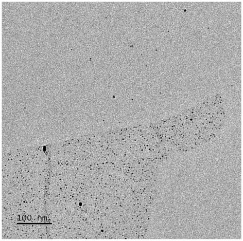 Phenolic sewage power generation device based on single-enzyme inorganic composite nanoflowers and preparation method and application thereof