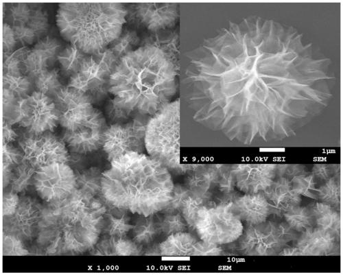 Phenolic sewage power generation device based on single-enzyme inorganic composite nanoflowers and preparation method and application thereof