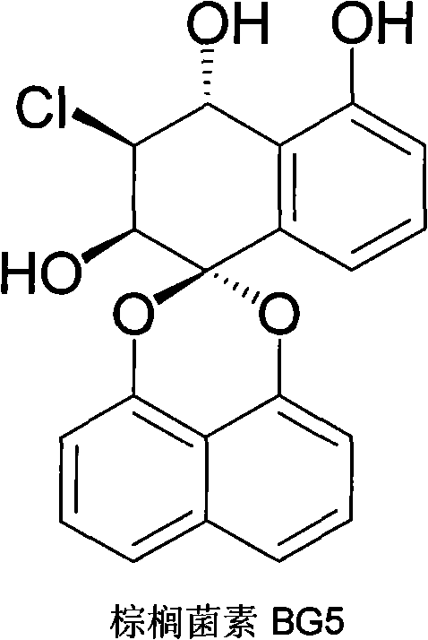 Bruguiera gymnorrhiza 5 (BG5) as well as preparation method and application thereof