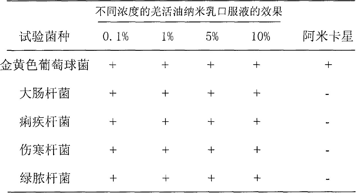 Oil-in-water type notopterygium oil nano emulsion oral liquid and preparation method thereof