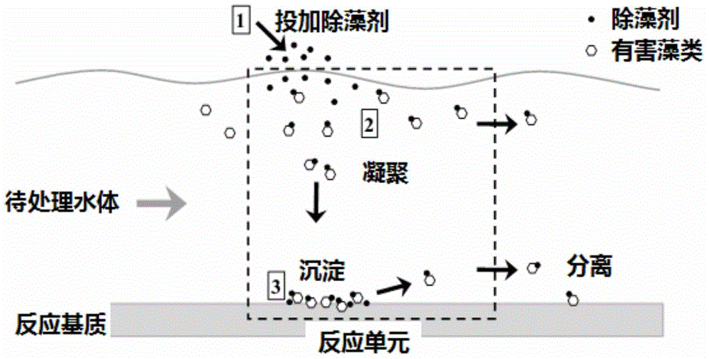 Algaecide, and preparation method and application thereof