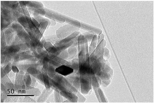 Method for preparing needle-shaped Fe-Mn-S ternary nano-material supported porous charcoal compound material