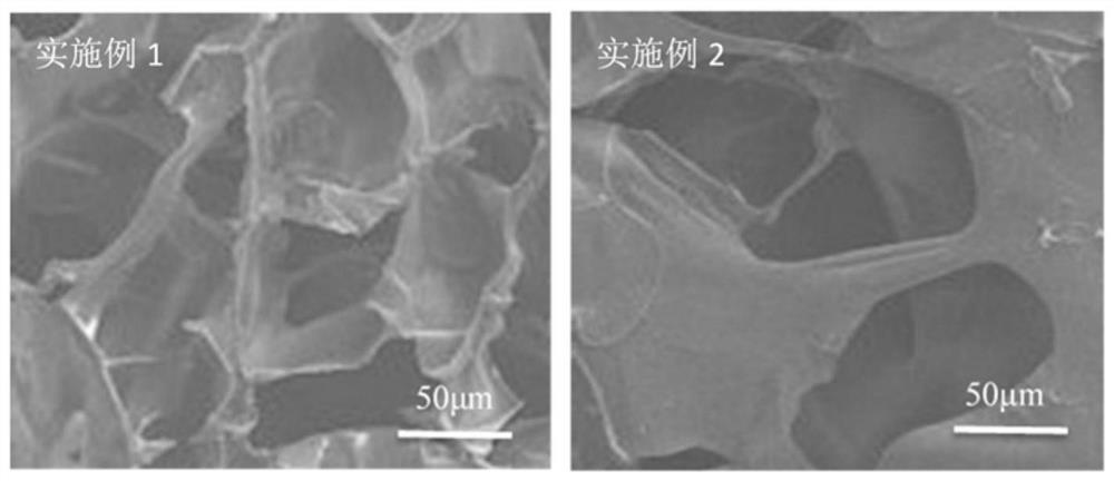 Microgel for stabilizing and controlling the release of biological enzyme in laundry liquid and laundry liquid comprising the same