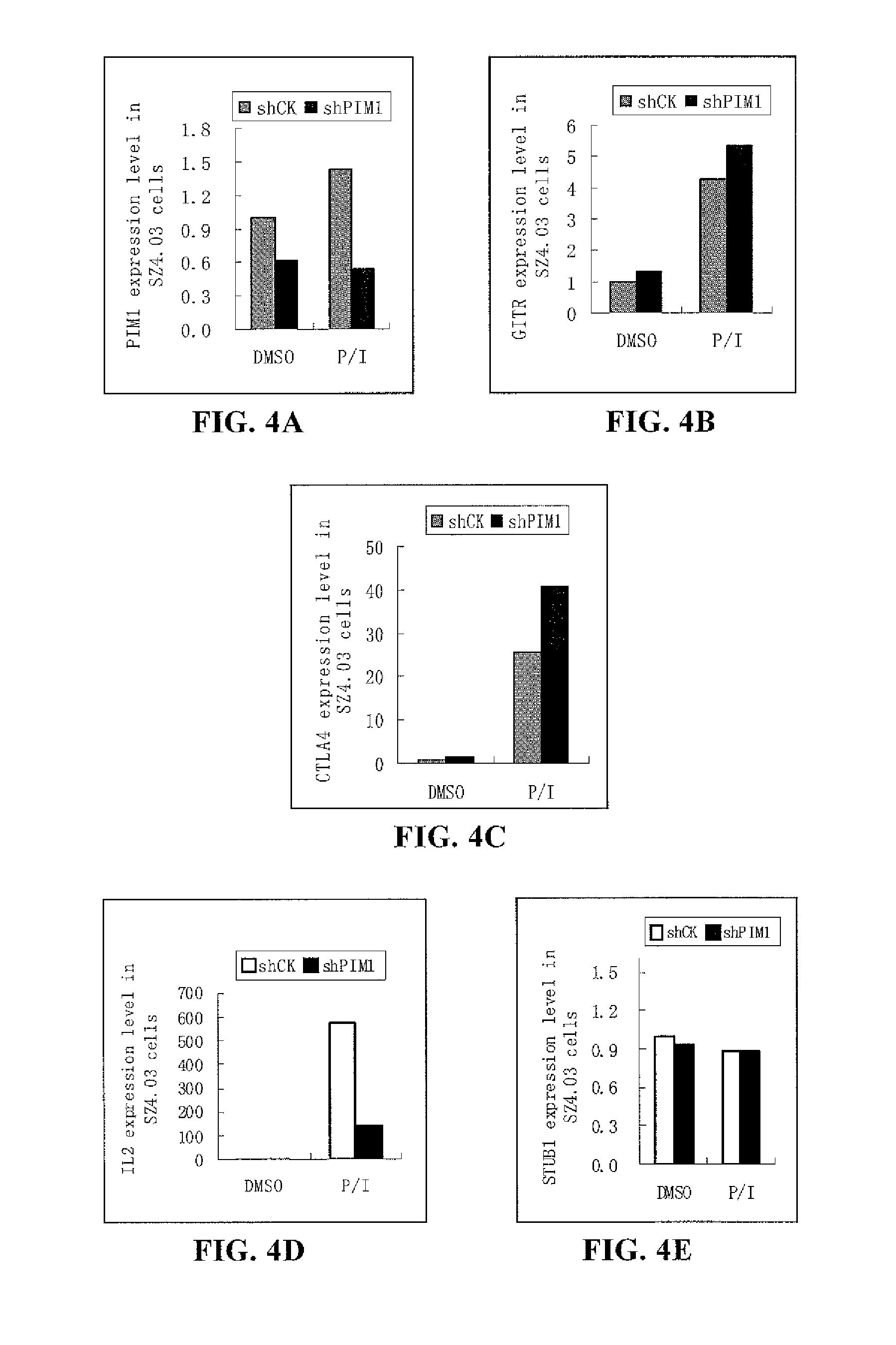 Use of phosphorylation pathway-related factor in regulating function of regulatory t cell