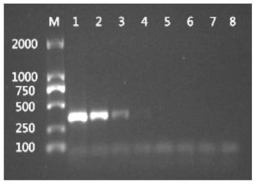 Method for separating and culturing virus of porcine pseudorabies