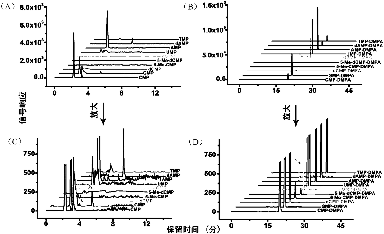 A Method of Chemical Labeling Combined with LC-MS and Its Application in Nucleotide Analysis