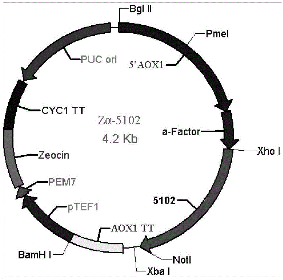 Oxalate oxidase with vitality under physiological PH condition and application thereof