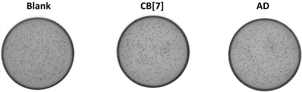 Supermolecular bactericide as well as preparation method and sterilization method thereof