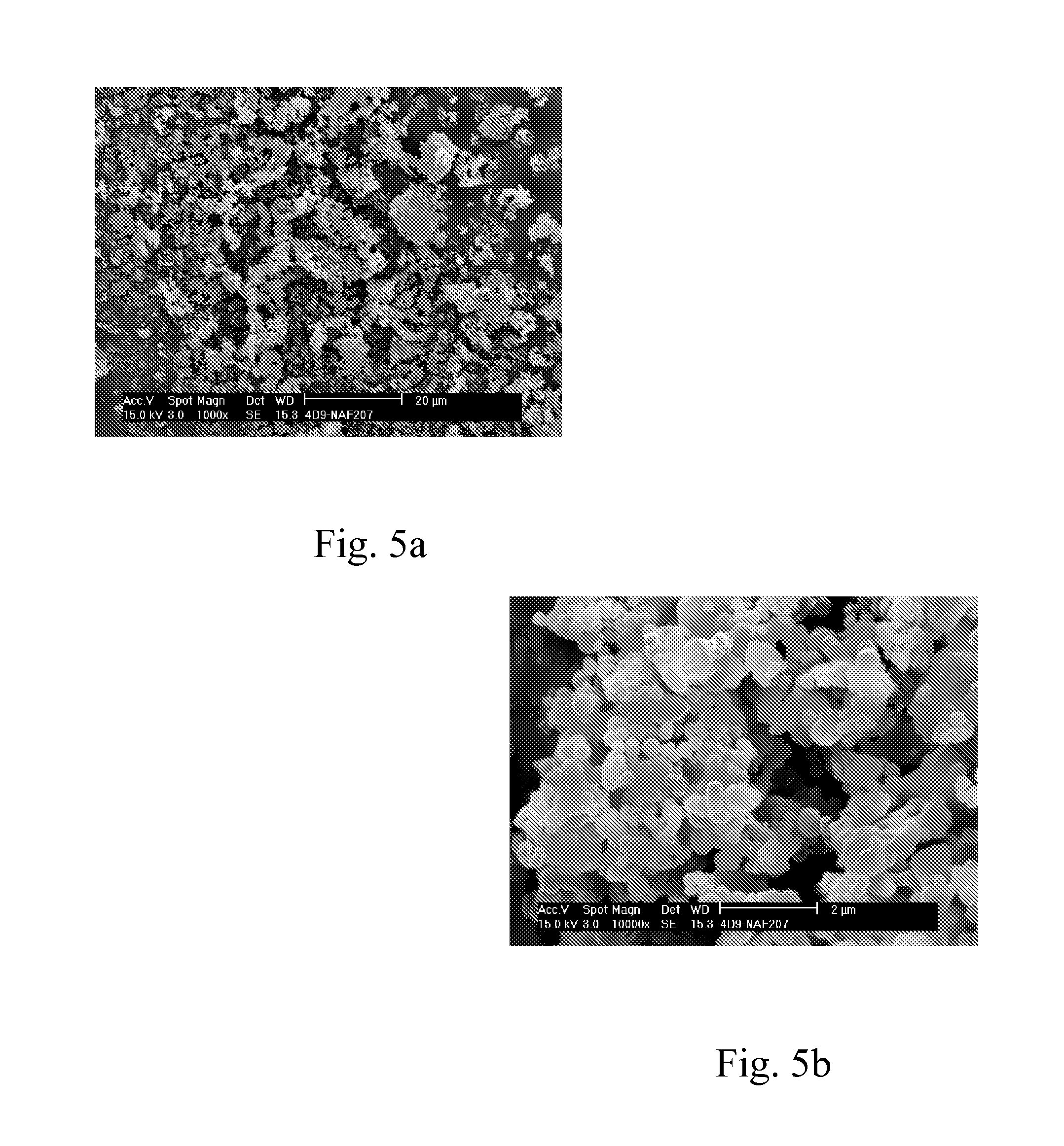 Polysaccharide-based pigments and fillers