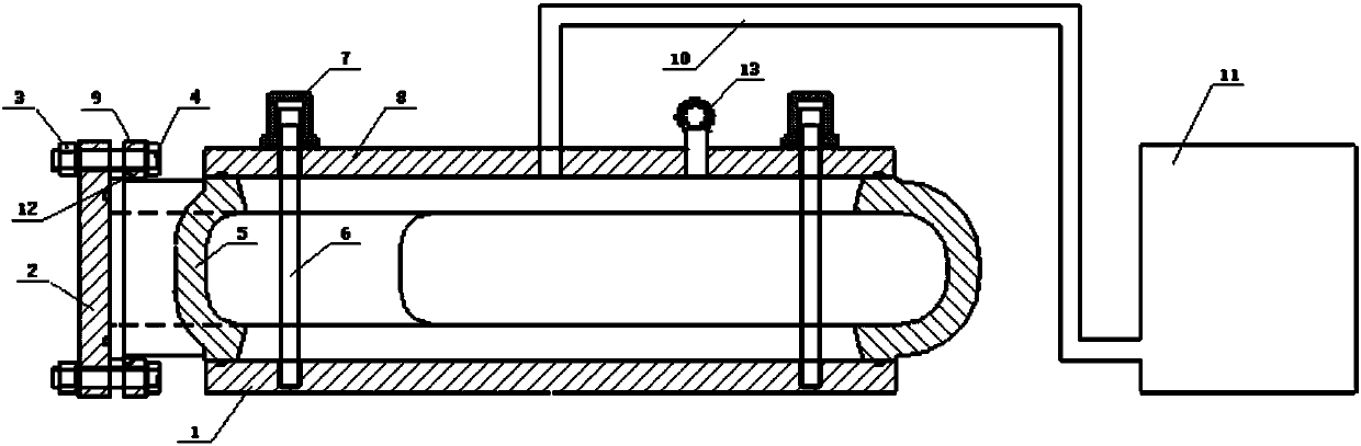 A pressure testing device for a sheath