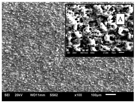 Surface-modified magnesium alloy thin-walled tube and its reverse extrusion die and preparation method