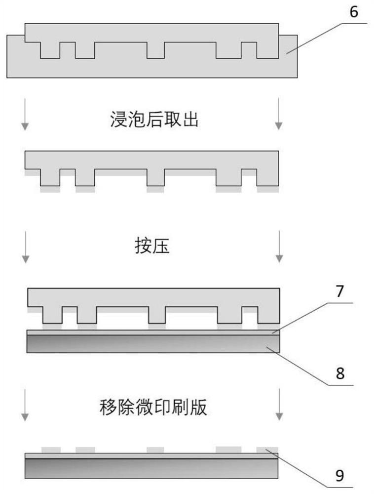 In-vitro artificial reflex arc structure and construction method and application thereof