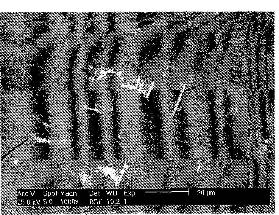 Production method for Sm(Co,M)7 type alloy thin strip magnet