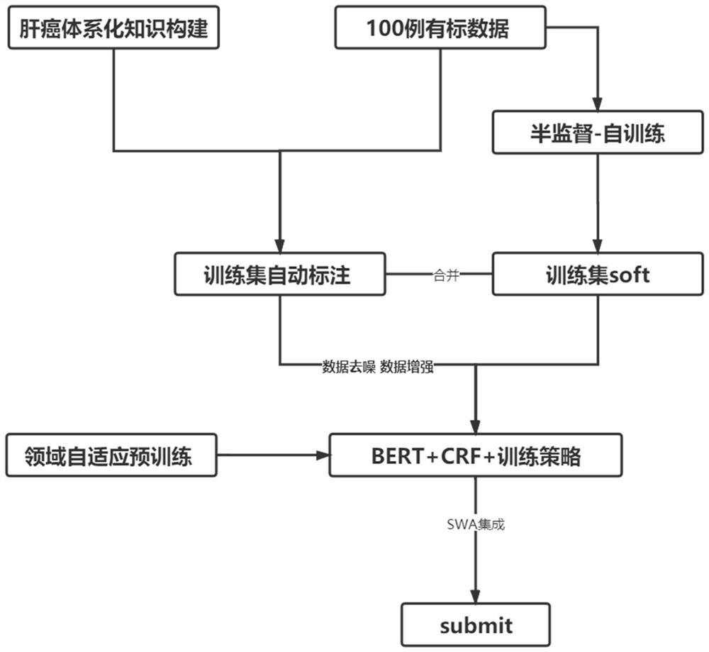 Entity recognition method for naming liver cancer pathological text