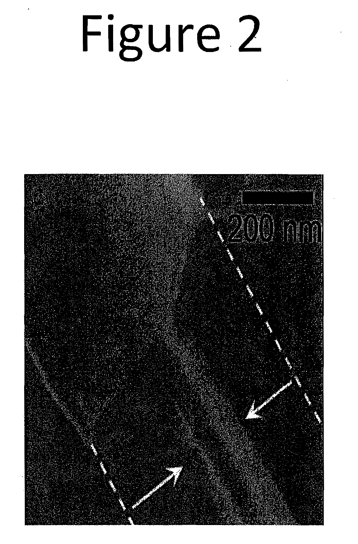 Systems and Methods for CMOS-Compatible Silicon Nano-Wire Sensors with Biochemical and Cellular Interfaces