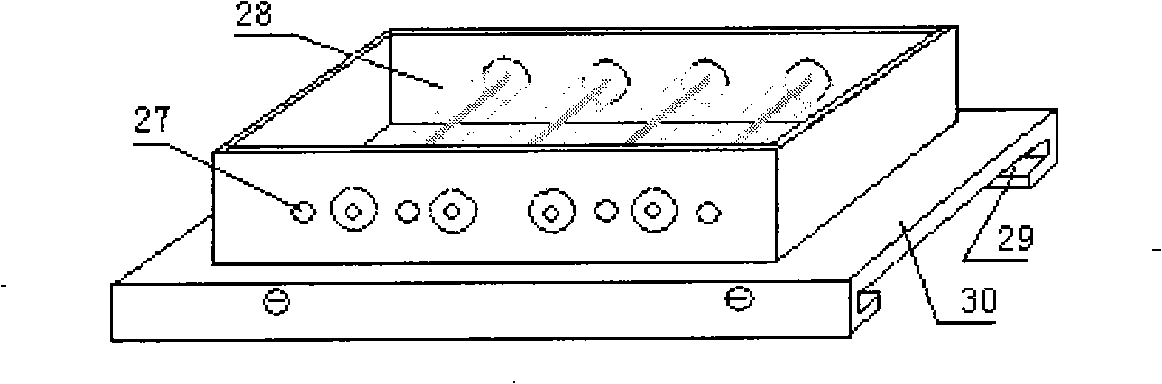 Film preparation device and observation method for film growth