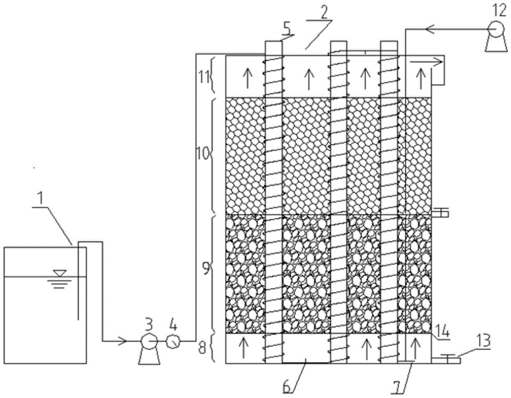 Method and equipment for efficiently removing organic matter in sewage by using Zhoucong biology