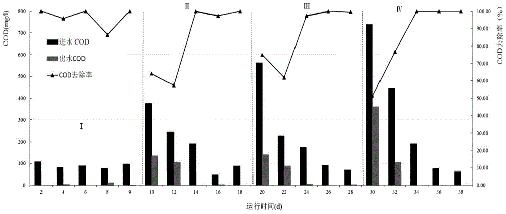 Method and equipment for efficiently removing organic matter in sewage by using Zhoucong biology