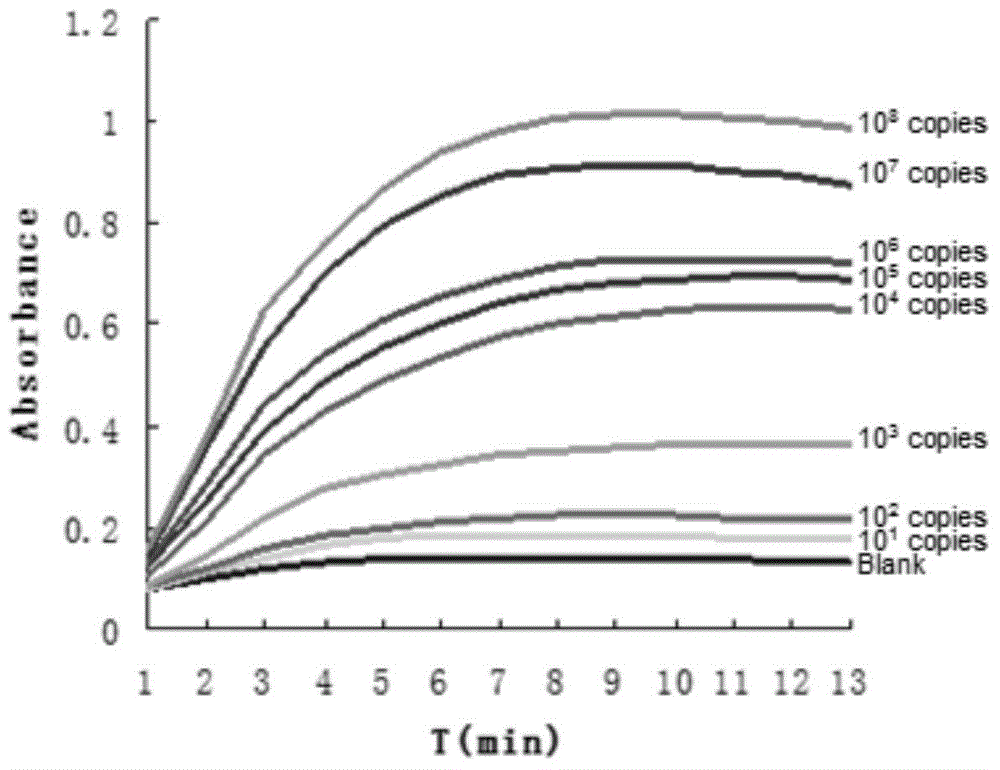 Hepatitis B virus detection method based on DNA (deoxyribonucleic acid) zyme probe