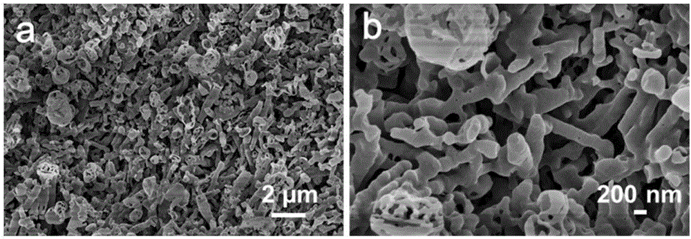 Carbon nitride hydrogel and preparation method thereof