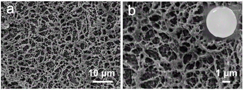 Carbon nitride hydrogel and preparation method thereof