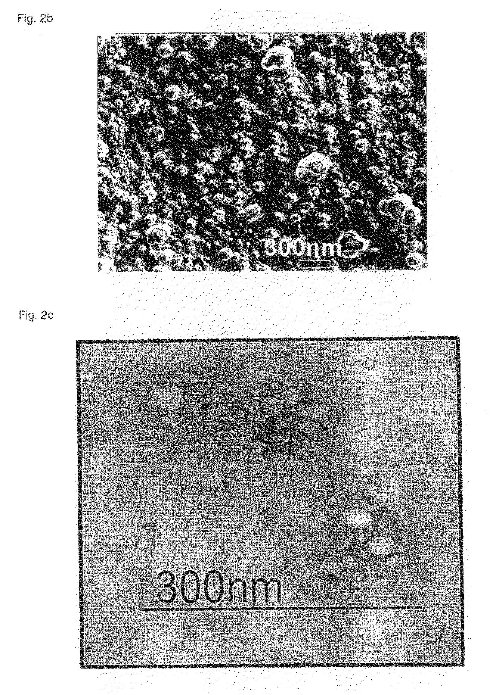 Polymeric micellar clusters and their uses in formulating drugs