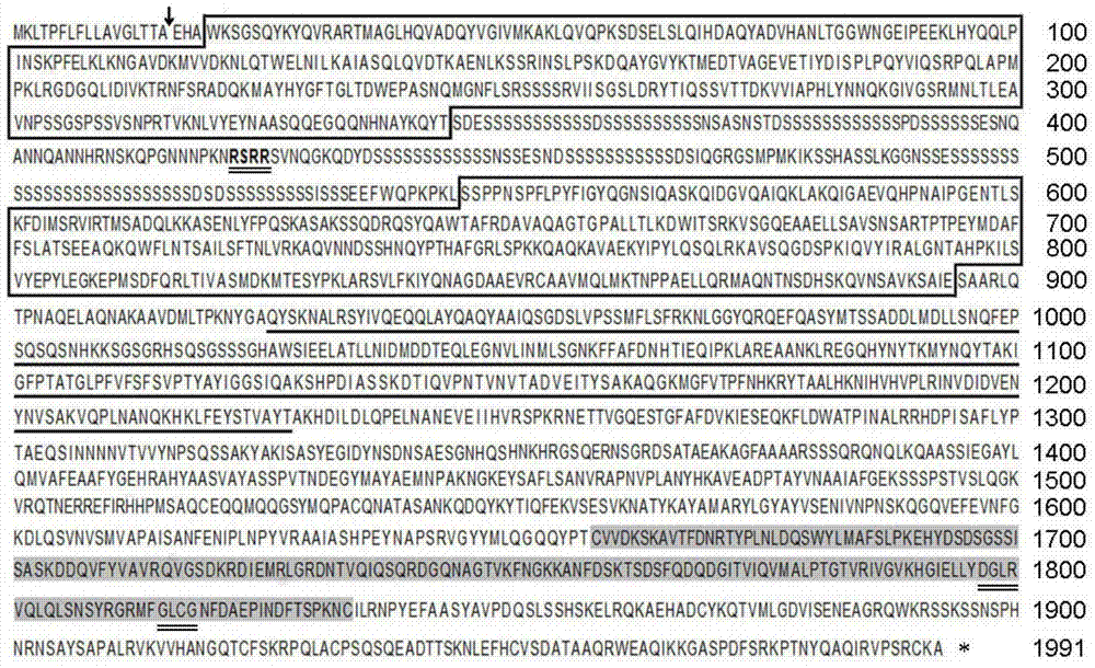 Vitellogenin, its specific peptide chain, carrier, bacterial strain and application