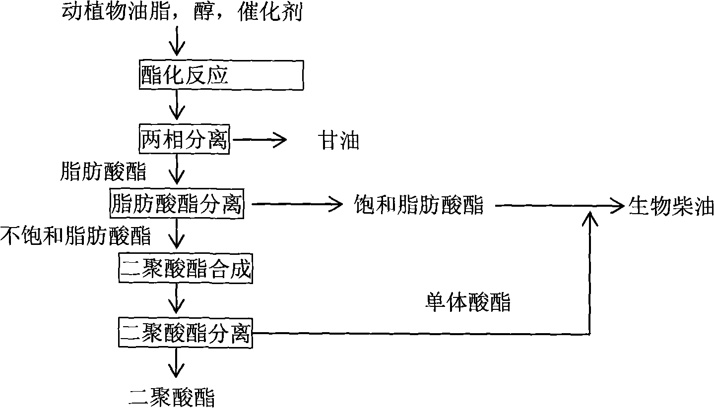 Method for coproducing biological diesel oil and dimeric dibasic acid ester by using animals and plants grease