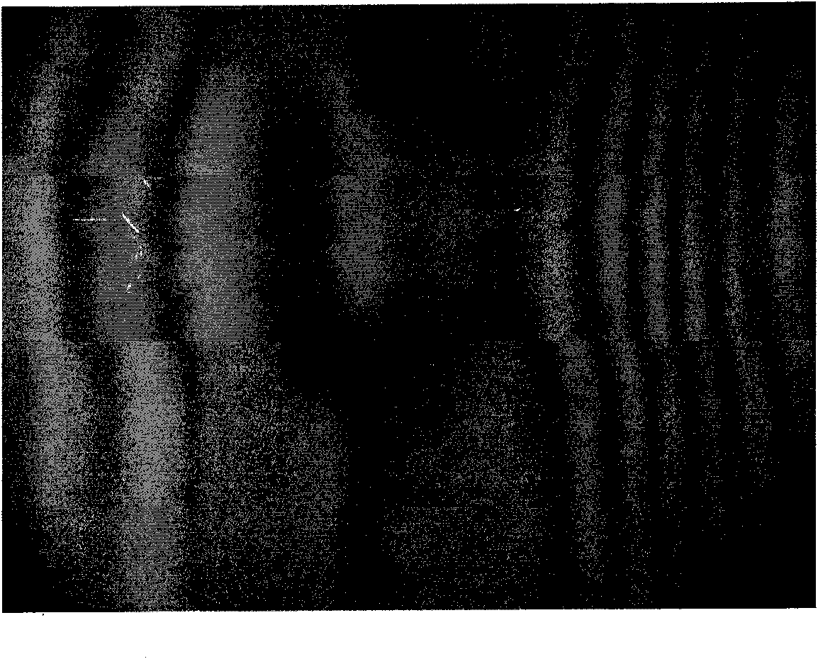 Antibacterial composite antibiotic and uses thereof