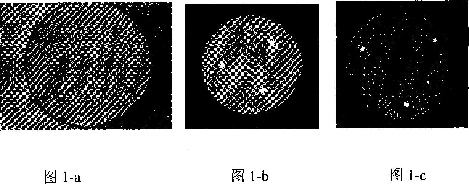 Optical microhand based on three-core optical fibre