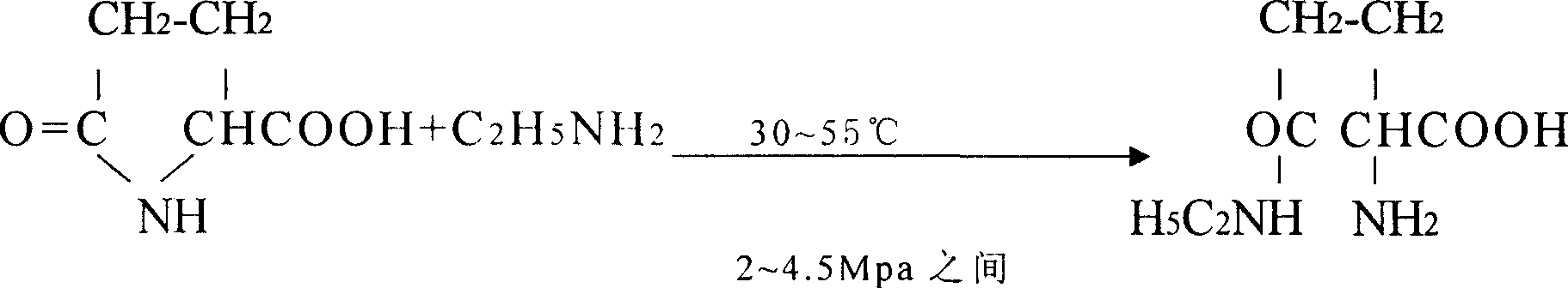 Theanine preparing process