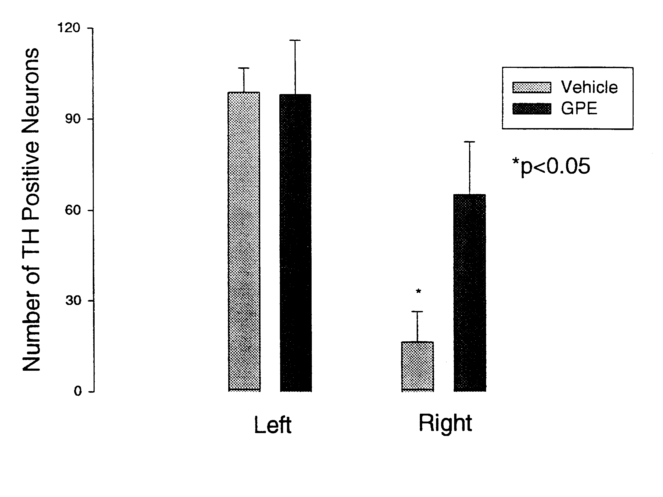 Regulation of tyrosine hydroxylase