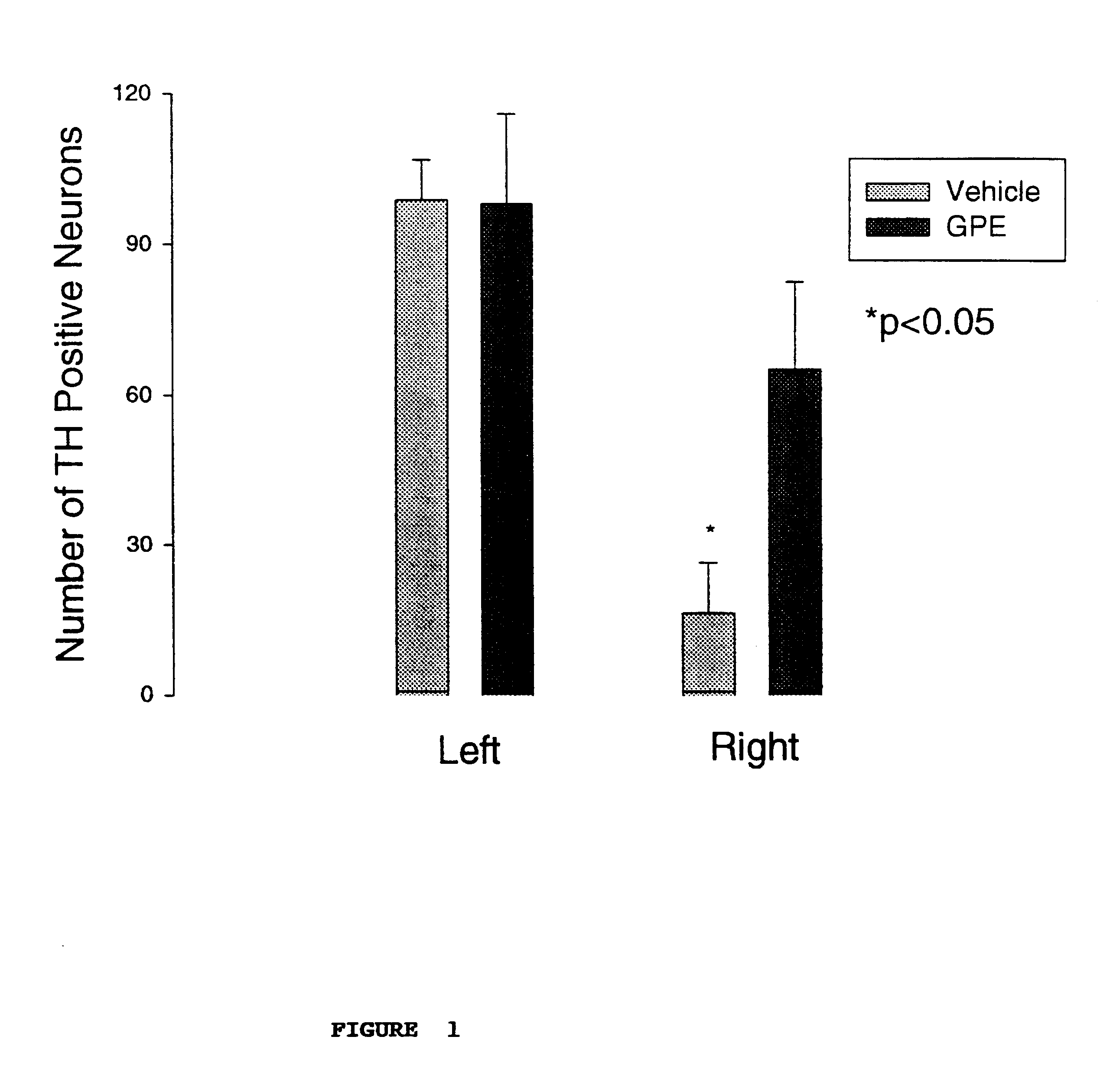 Regulation of tyrosine hydroxylase