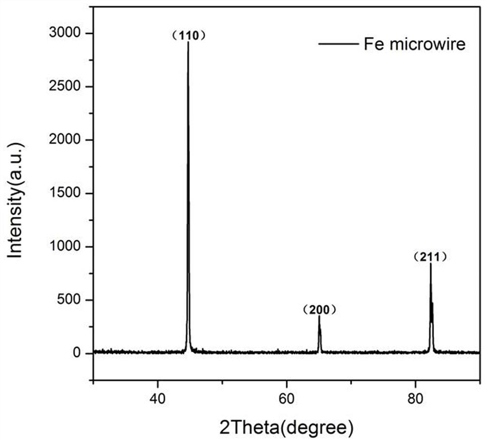 A kind of soft magnetic metal iron porous micro-wire and preparation method thereof