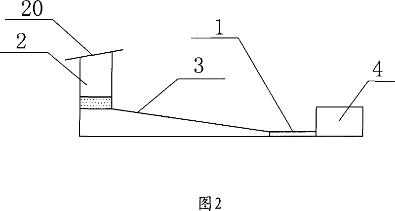 Tortoise-cultivating basin