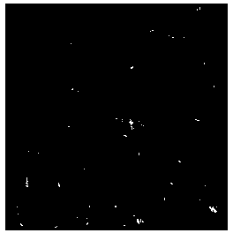 Alloy gray cast iron piston ring as well as manufacturing method and special template thereof