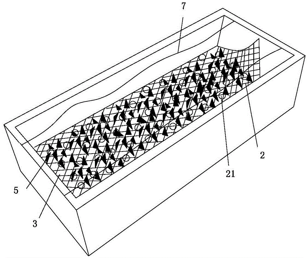 Method for cultivating silkworms for biological feed of parent shrimp