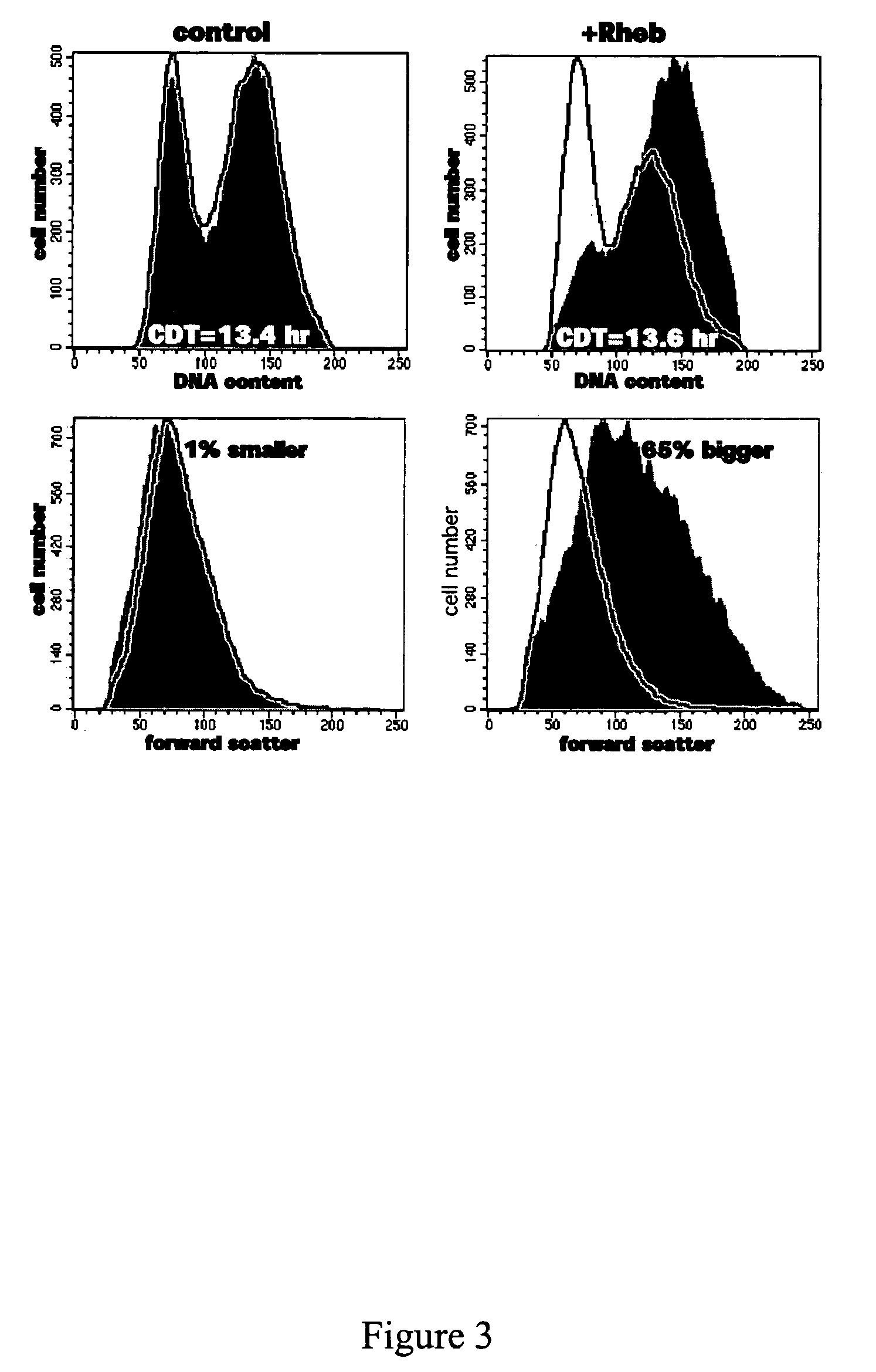 Methods for identifying Rheb effectors as lead compounds for drug development for diabetes and diseases associated with abnormal cell growth