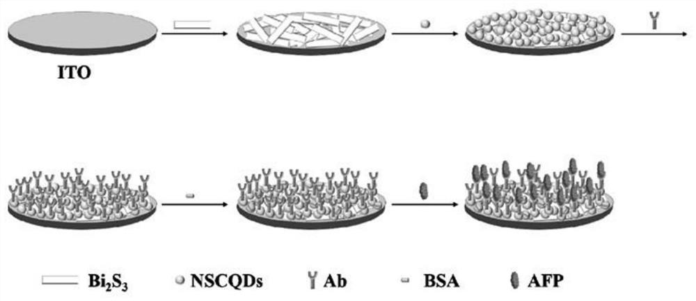 A nscqds/bi based  <sub>2</sub> the s  <sub>3</sub> Photoelectrochemical sensor and preparation method thereof