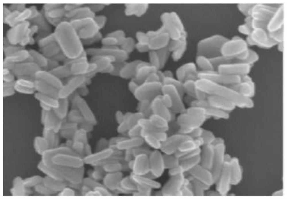 A nscqds/bi based  <sub>2</sub> the s  <sub>3</sub> Photoelectrochemical sensor and preparation method thereof