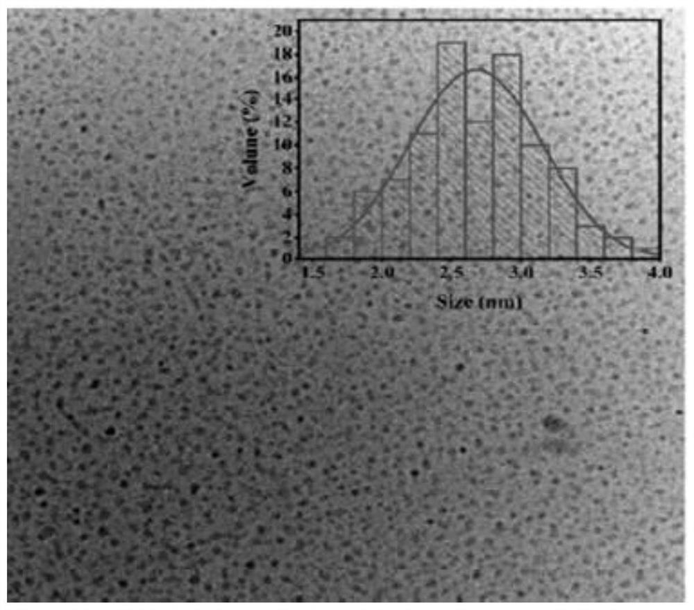 A nscqds/bi based  <sub>2</sub> the s  <sub>3</sub> Photoelectrochemical sensor and preparation method thereof