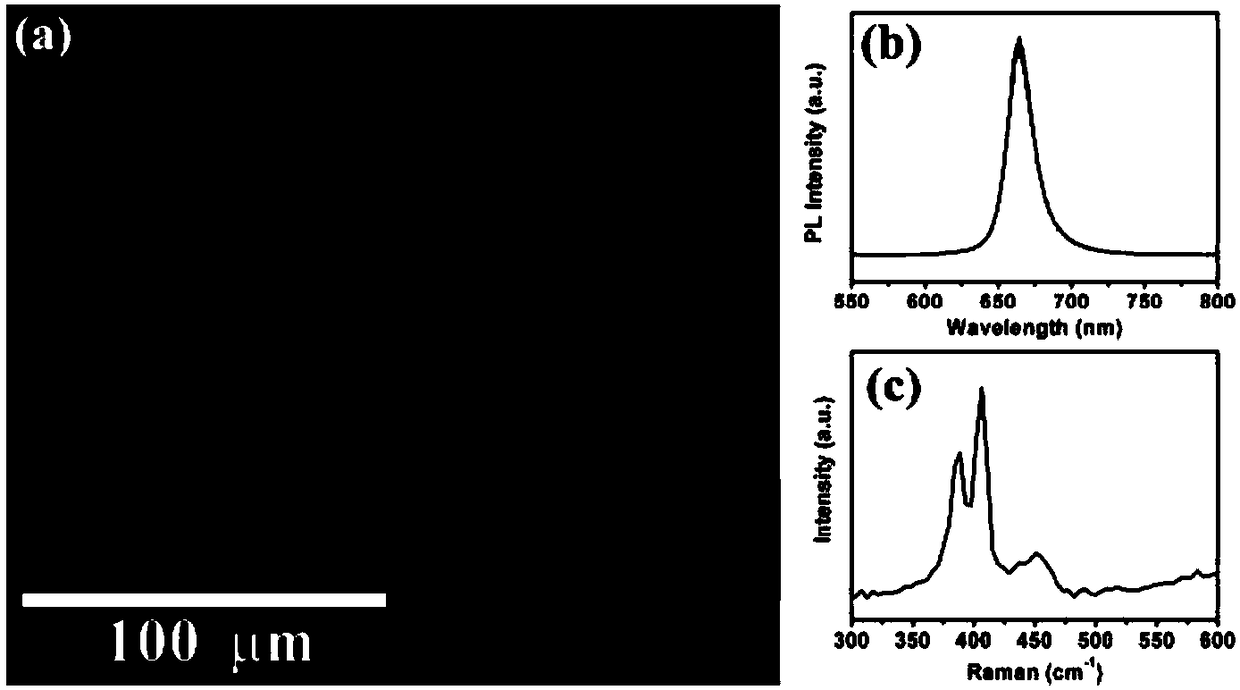 Method for preparing single-layer two-dimensional transition metal sulfide material