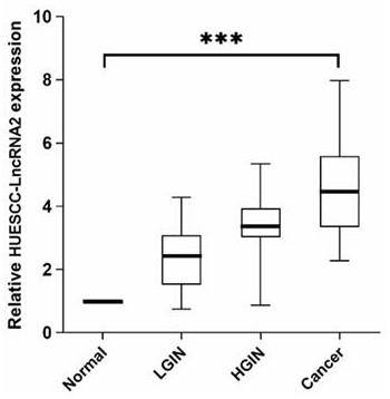 Application of long-chain non-coding RNA in preparation of esophageal squamous cell carcinoma precancerous lesion early warning detection reagent