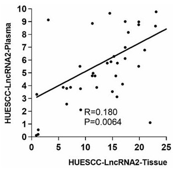 Application of long-chain non-coding RNA in preparation of esophageal squamous cell carcinoma precancerous lesion early warning detection reagent