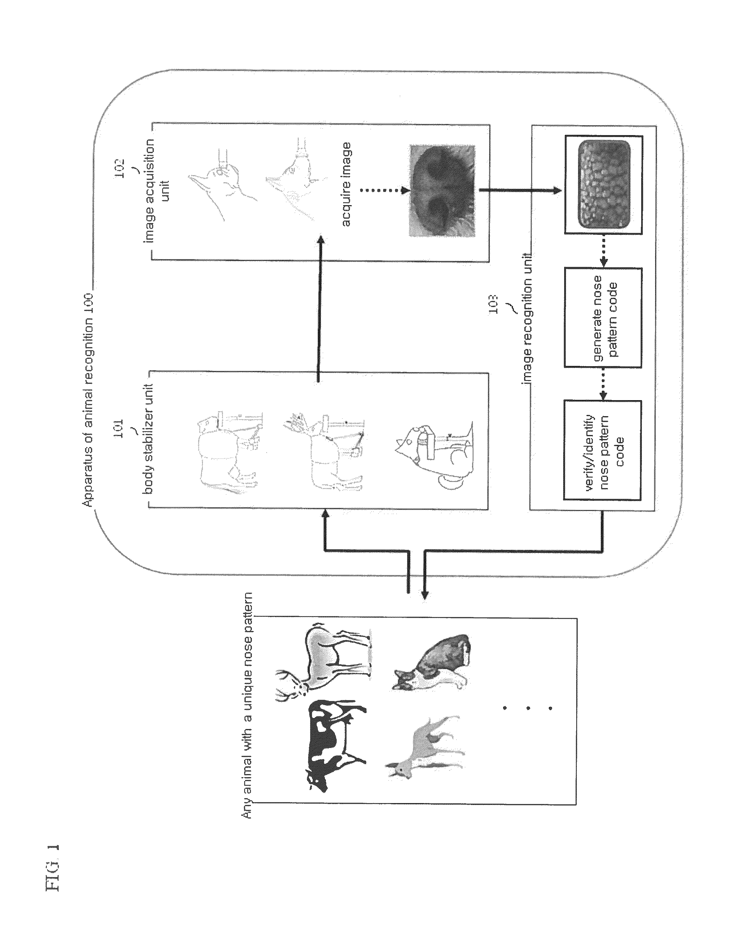 Device and method for recognizing animal's identity by using animal nose prints