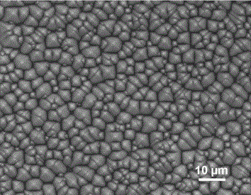 Monocrystalline silicon wafer texture surface making additive and application