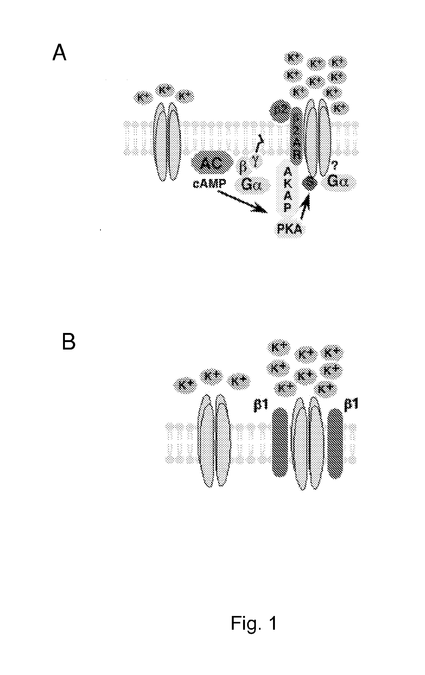 Treatment of diseases with altered smooth muscle contractility