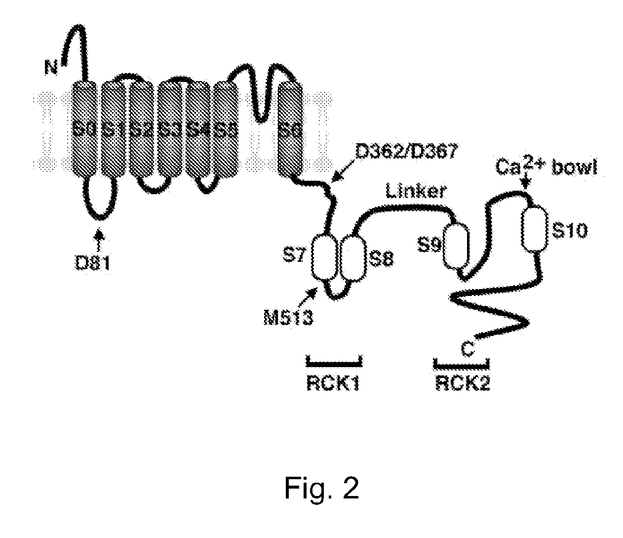 Treatment of diseases with altered smooth muscle contractility