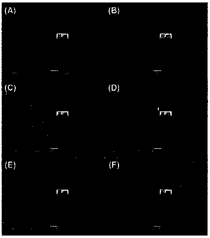 Low-conductivity flake graphene composite material, and preparation method and application thereof